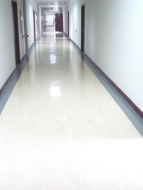 東北財(cái)經(jīng)大學(xué)